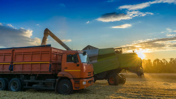 istock combine harvester on a wheat field sunset 1285967616