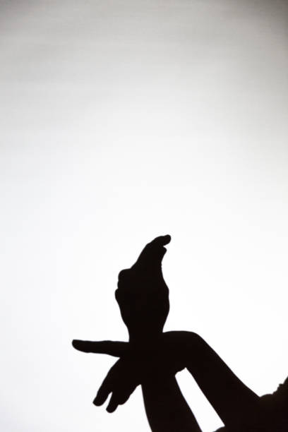 istock play shadow projected against a white background. pigeon 1285967685