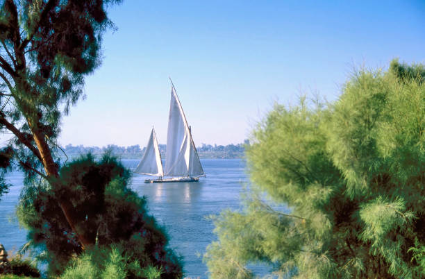istock Egyptian felucca 1285969751