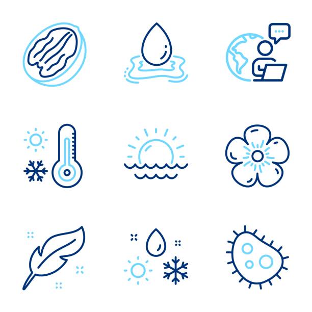 ilustrações, clipart, desenhos animados e ícones de ícones da natureza definidos. ícone incluído como bactérias, penas, sinais de termômetro meteorológico. vetor - rain snow sun beauty