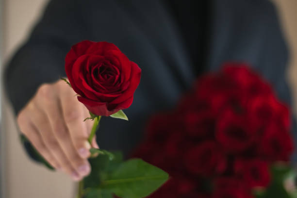 istock Red rose close-up in mans hand 1285977968