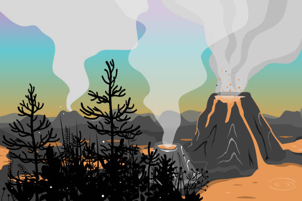 Prehistoric landscape with Jurassic flora and volcano eruption, lava and smoky sky. Vector background with mountains and volcanoes in flat cartoon style Prehistoric landscape with Jurassic flora and volcano eruption, lava and smoky sky. Vector background with mountains and volcanoes in flat cartoon style. araucaria araucana stock illustrations