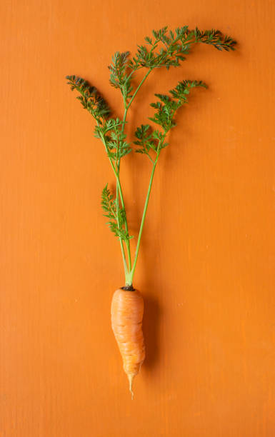 istock Fresh and organic carrot on orange background. High angle view 1285979140