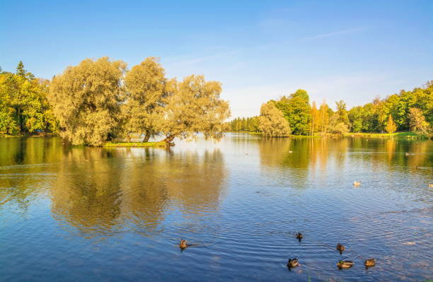 istock Autumn on the lake in the Gatchina 1285979805