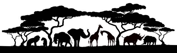 tier silhouetten afrikanische safari-szene - safari animals animal feline undomesticated cat stock-grafiken, -clipart, -cartoons und -symbole