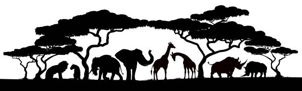 illustrations, cliparts, dessins animés et icônes de scène de safari africaine de silhouettes animales - savane africaine