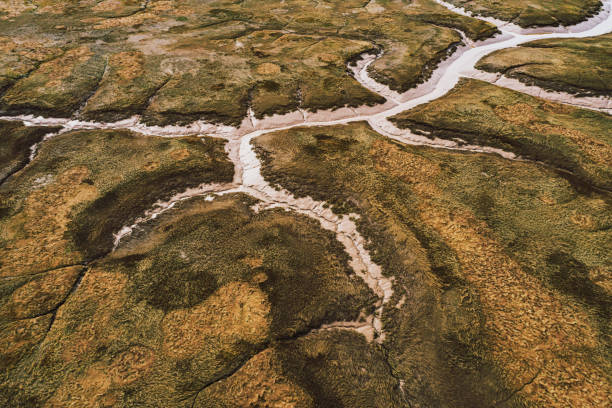 Aerial drone view of a tidal mudflat/grass at low tide on the Bay of Fundy.