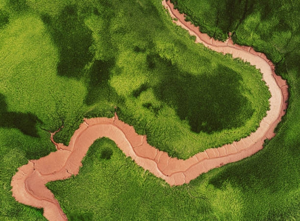 istock Aerial View of Tidal Mudflat 1285981730