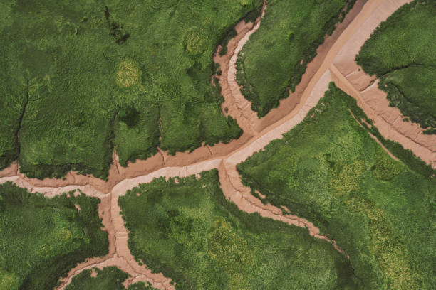 istock Aerial View of Tidal Mudflat 1285981751