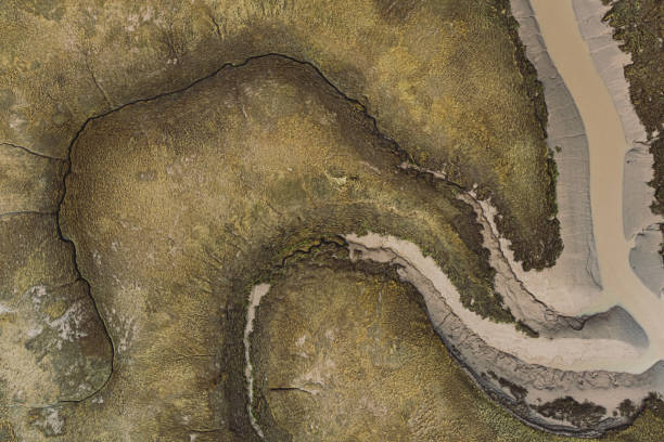 istock Aerial View of Tidal Mudflat 1285981813