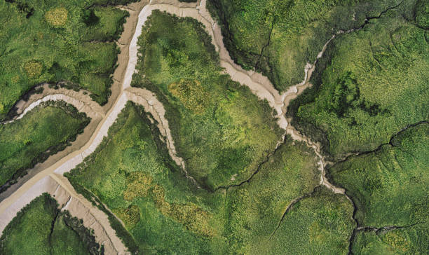 Aerial View of Tidal Mudflat