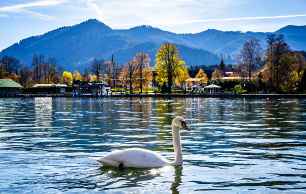 istock famous Tegernsee lake in Bavaria 1285982976