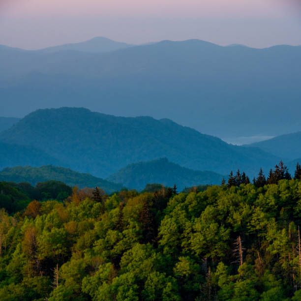 istock Layers of the Smokies 1285983863