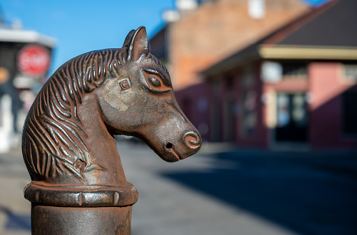 Rusty Horse Head Post with blurry city background