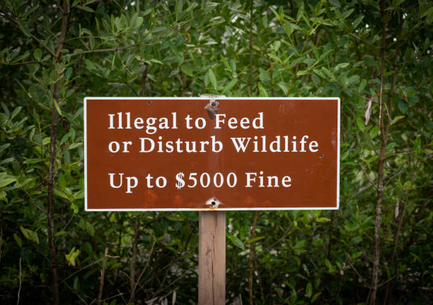 istock Illegal To Feed Wildlife Sign 1285987189