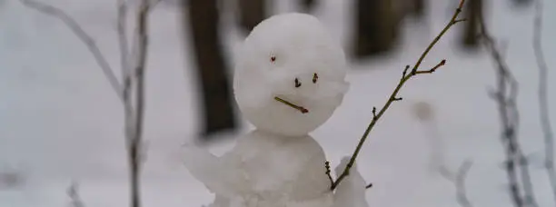 Photo of Sad natural Snowman