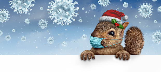 Healthy holiday squirrel wearing a face mask as a friendly furry character gripping a billboard for disease prevention as a Christmas new year with a virus snowflake background with 3D render elements.