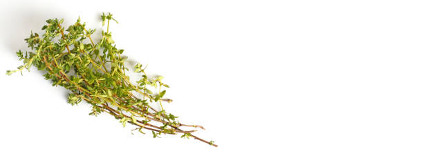 istock Thyme sprigs on a white background, close-up, flat lay, copy space, top view. 1285990480