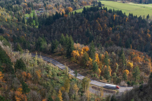 Carretera Forestal Washington - foto de stock