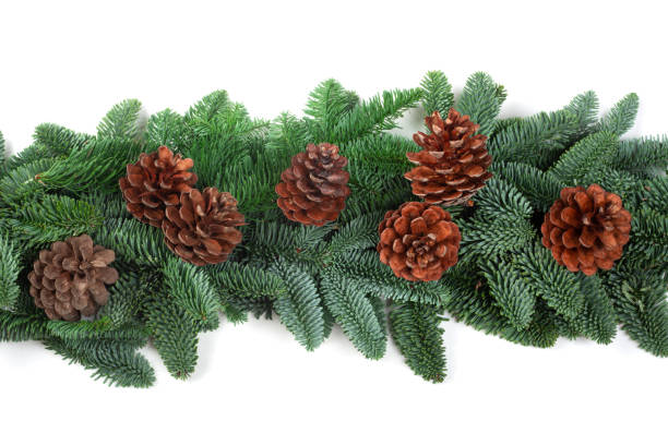 istock Christmas border of fir tree on white 1285993927
