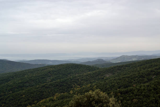 istock Panorama from the Florentine Forest 1285997024