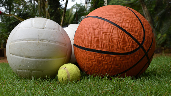 Volleyball, Basketball and  tennis ball on the grasses