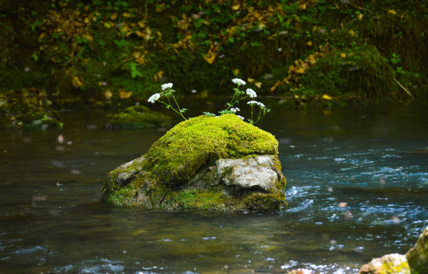 The mountain area of Žumberak and Samobor is one of the least inhabited areas in Croatia. Life here has never been easy, and the only way to live it was to adjust to the laws of nature. Over thousands of years of their presence, people living in the area have managed to preserve the balance – as seen in the vistas of traditional villages, pastures and fields, that still merge harmoniously into the background of endless forests. It is precisely this mosaic of preserved traditional landscapes, coupled with the rich flora and fauna, geological characteristics and valuable archaeological findings, that attracts hikers, mountain climbers and nature lovers to the area today. Due to its relative inaccessibility, human impact has been kept to a minimum, which is why it this particular part of the Park remains closest to its original form.
