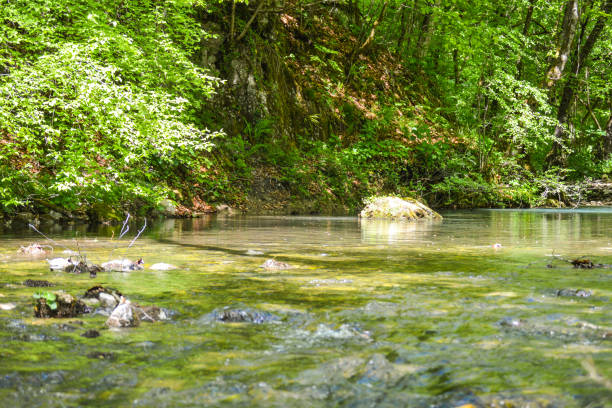 The mountain area of Žumberak and Samobor is one of the least inhabited areas in Croatia. Life here has never been easy, and the only way to live it was to adjust to the laws of nature. Over thousands of years of their presence, people living in the area have managed to preserve the balance – as seen in the vistas of traditional villages, pastures and fields, that still merge harmoniously into the background of endless forests. It is precisely this mosaic of preserved traditional landscapes, coupled with the rich flora and fauna, geological characteristics and valuable archaeological findings, that attracts hikers, mountain climbers and nature lovers to the area today. Due to its relative inaccessibility, human impact has been kept to a minimum, which is why it this particular part of the Park remains closest to its original form.