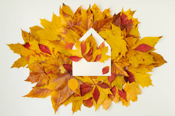 istock autumn flat lay with envelope and leaves 1285998120