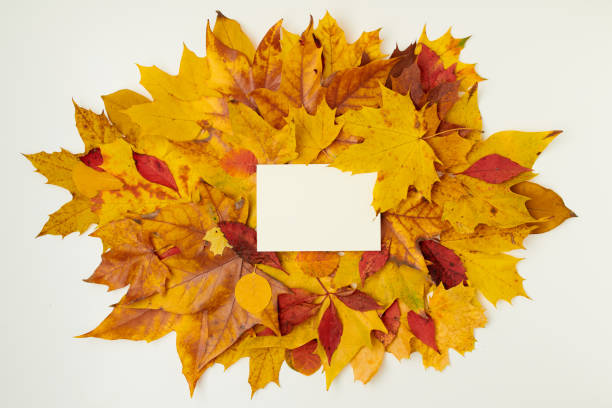 istock autumn background with paper sheet and leaves 1285998305