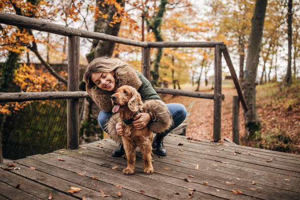Young woman petting her dog outside on the porch of log cabin One beautiful young woman petting her happy cocker spaniel dog outside on the porch of log cabin. cocker spaniel stock pictures, royalty-free photos & images