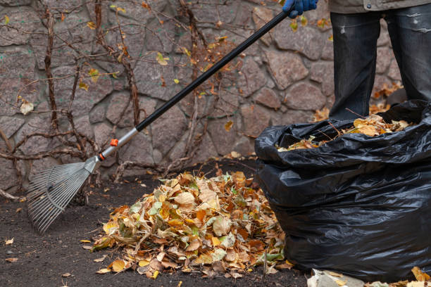 istock Gardener collects fallen leaves by long rake 1286003350
