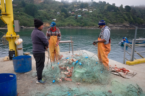 Bahia Mansa, Osorno province, Chile - February, 2020: Three fishermen get out crabs from fishing net on fishermen pier in small fishing village in Chile. Men checking catch after fishing in ocean.
