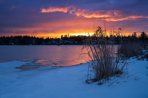 Sunset on a small body of water with snow on the shoreline in Victoria, BC