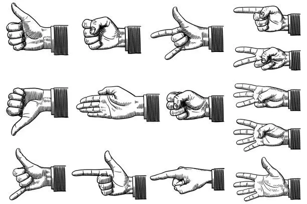 Vector illustration of Vector drawings of hands