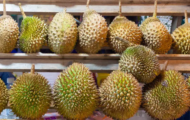 Photo of Rows of durian fruits at Jalan Alor food street in Kuala Lumpur. Popular fetid asiatic fruit.