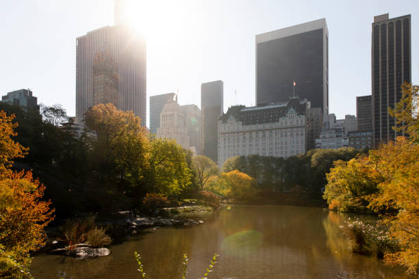 istock Central Park Manhattan Skyline 1286010460
