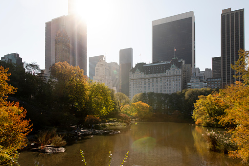 View of the Manhattan skyscrapers from Central Park during autumn season in New York City.