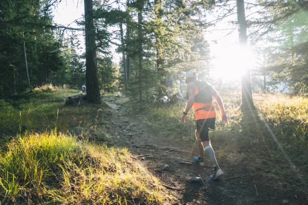 istock Senior man races along a trail in the forest 1286011686