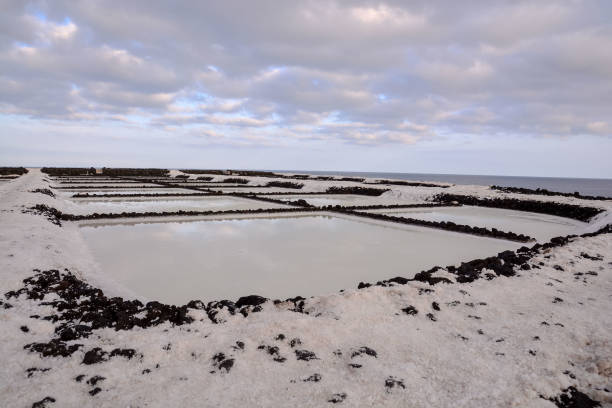 istock Salt Flats in the Canry Islands 1286011845