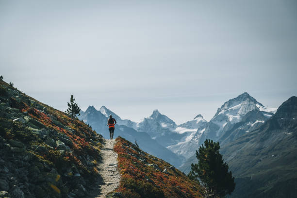 istock Senior man races along a trail in the mountains 1286011927