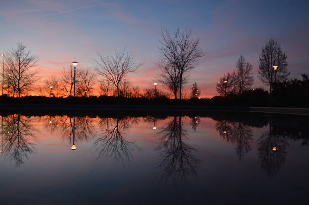 istock Trees Reflected in a Fountain in Granada, Spain during Sunset 1286012122