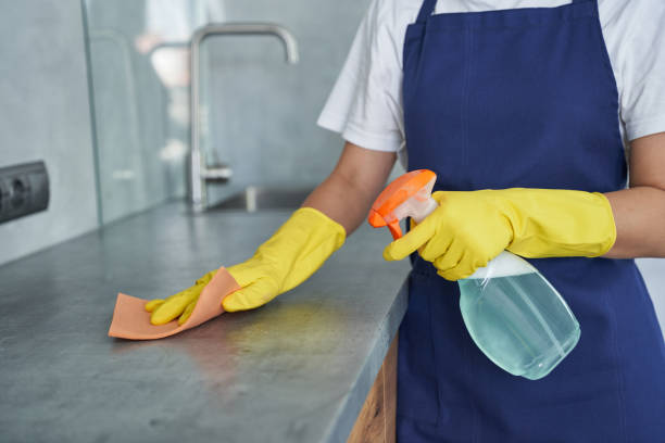 servizi di pulizia di prima classe. colpo ritagliato di giovane donna, donna delle pulizie che pulisce la cucina spruzzando le superfici con detersivo da una bottiglia spray - top of the class foto e immagini stock