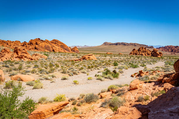 istock Valley of Fire State Park 1286015638