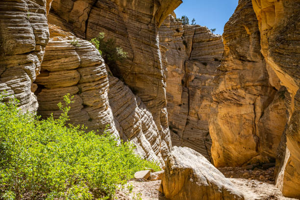 istock Lick Wash Trail Hike 1286015864