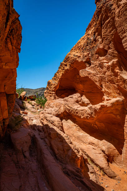 istock Valley of Fire State Park 1286015892
