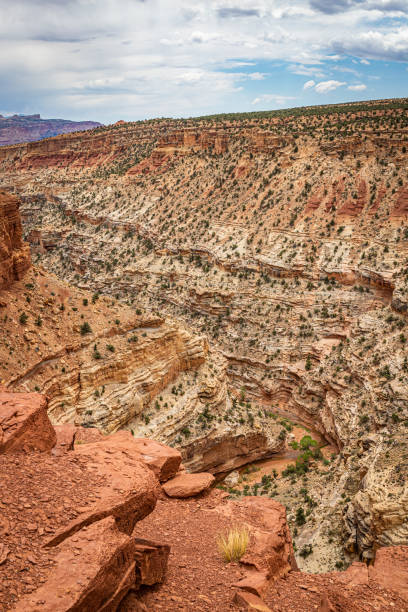 istock Capitol Reef National Park 1286015893