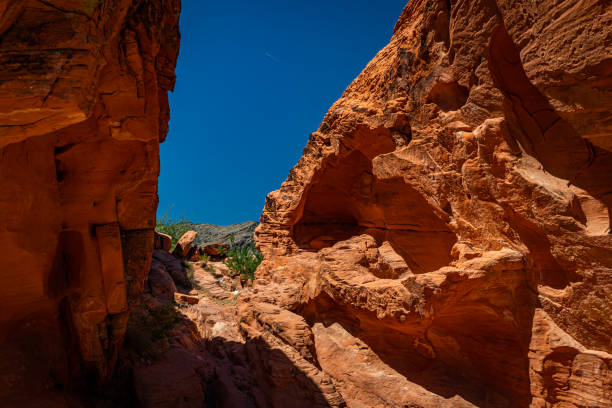 istock Valley of Fire State Park 1286015953