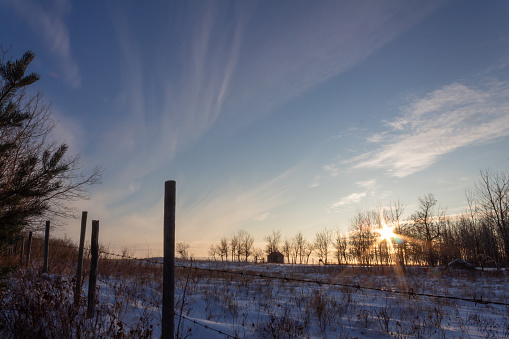 Winter sunset with blue sky and wispy clouds over prairie field with trees, fence and small shed