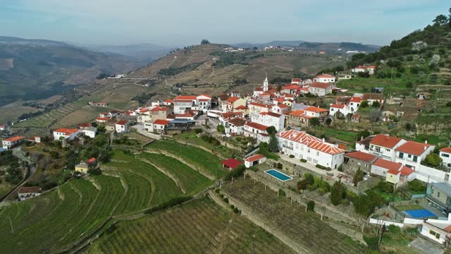 Aerial of Douro terraced vineyards in Portugal